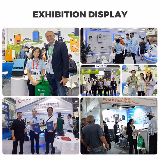 1000W 1500W 2000W 3000W 12V DC to AC Power Inverter with AC Charger