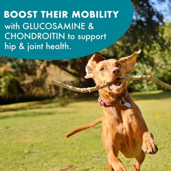 Peanut Massager Ball, Double Lacrosse Massage Ball & Mobility Ball Massager for Physical Therapy